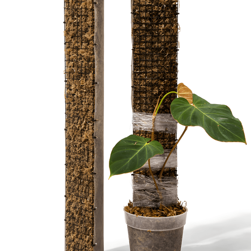 D-Shape Moss Poles