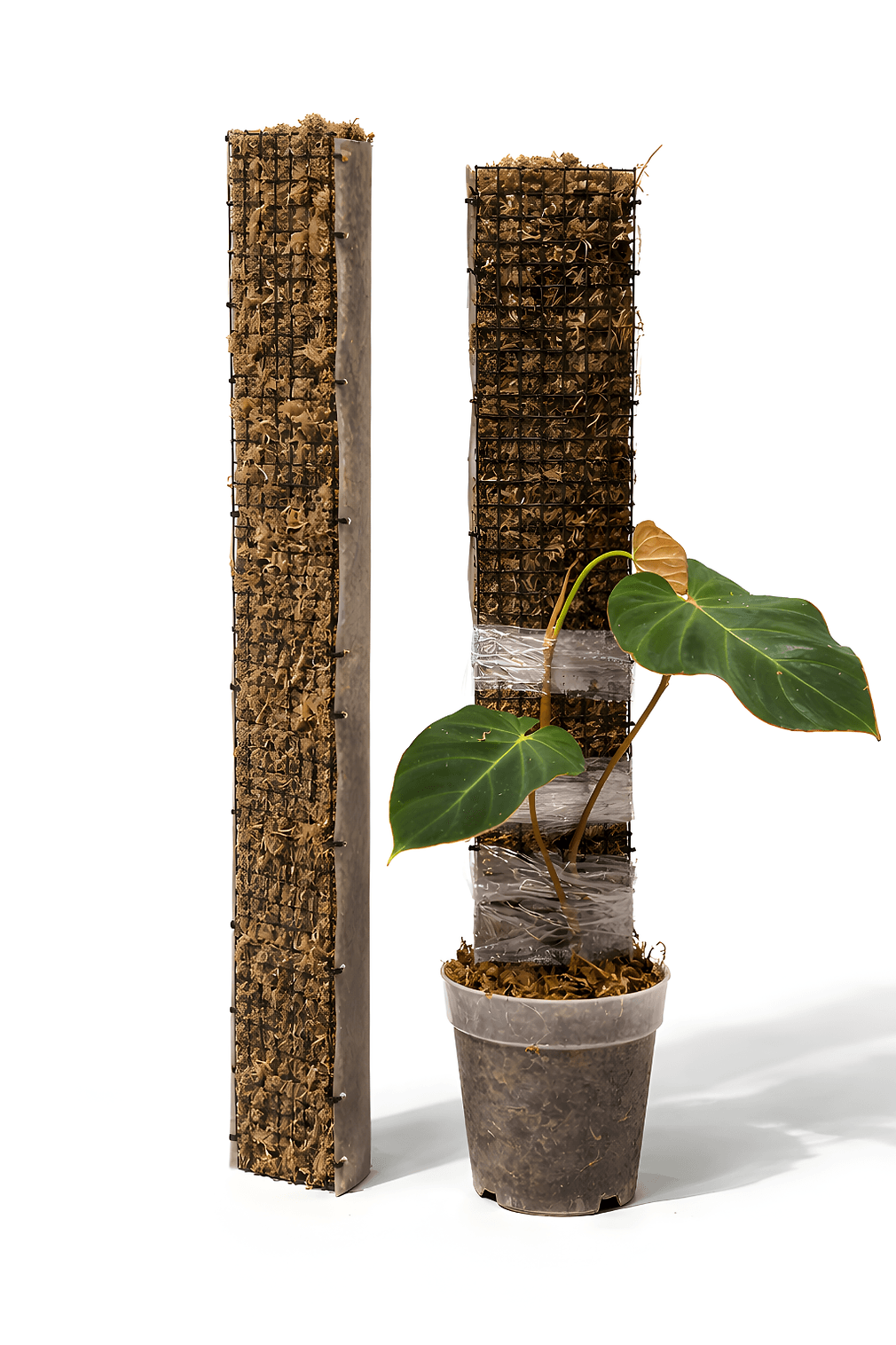 D-Shape Moss Poles