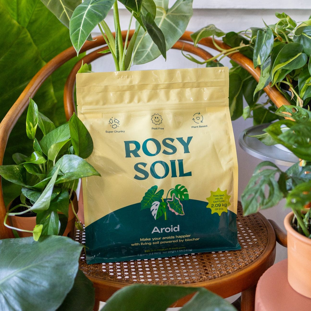 Rosy Soil Aroid Mix - Image 2